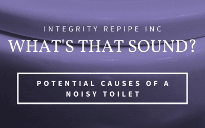 What’s that Sound? Potential Causes of a Noisy Toilet