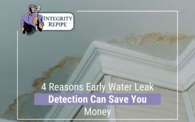 4 Reasons Early Water Leak Detection Can Save You Money