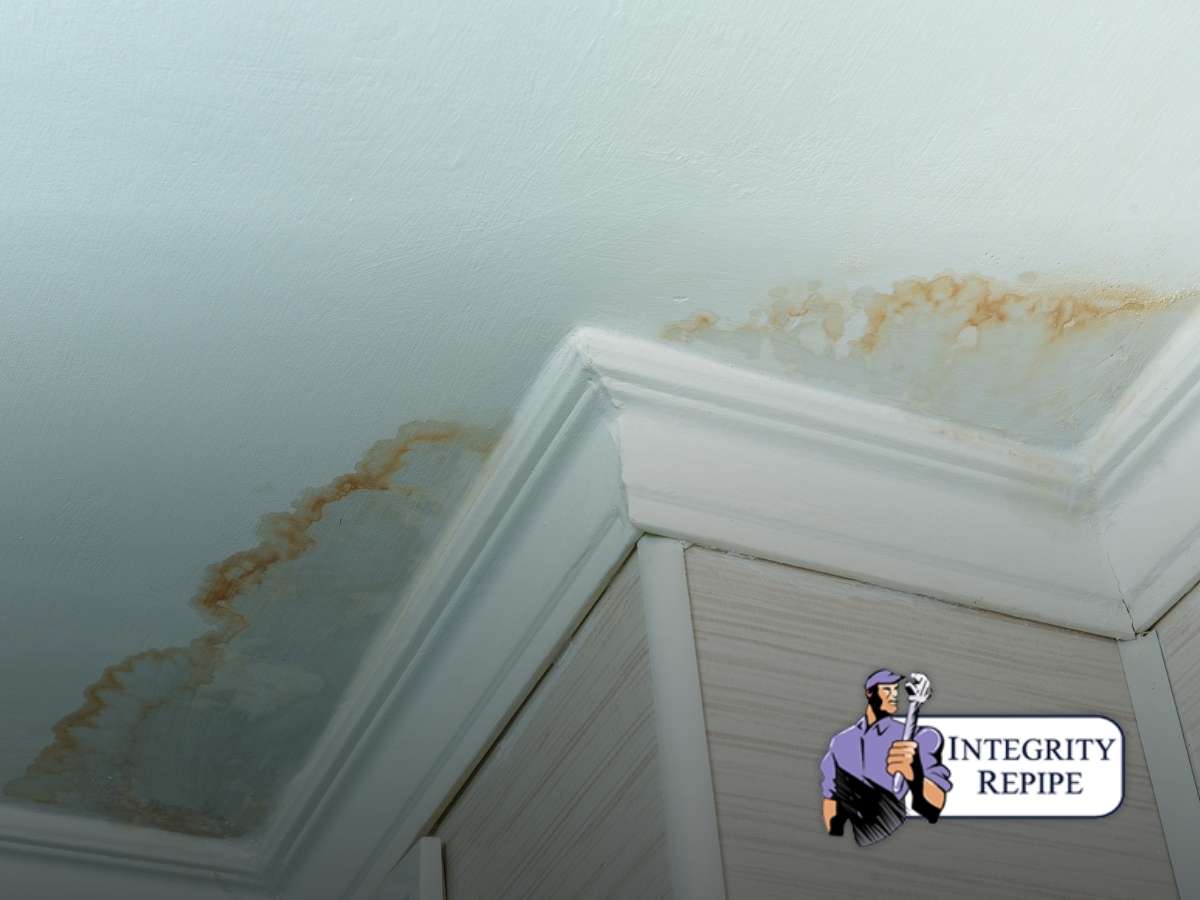 The Importance Of Catching Leaks On Time  in California